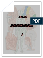 Atlas Morfología 