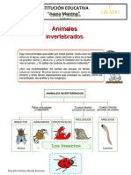 26.08 Animales Invertebrados