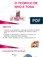 Curso Teórico de Banho e Tosa Aula 1 Elisa