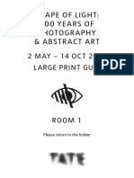Shape of Light - 100 Years of Photography & Abstract Art - PDF Room