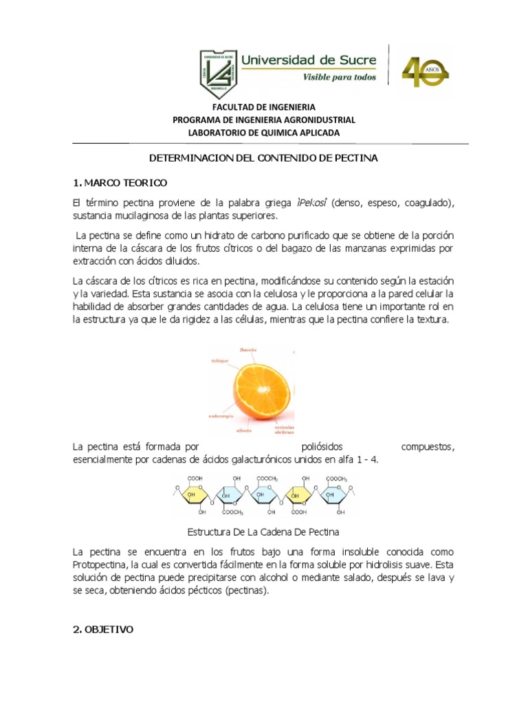 Guia Pectina Quimica Aplicada PDF Alcohol Agua