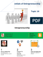 BU4012: Essentials of Entrepreneurship: Intrapreneurship