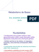 Teórico 12 Dra. González - Metabolismo de Bases - 2019