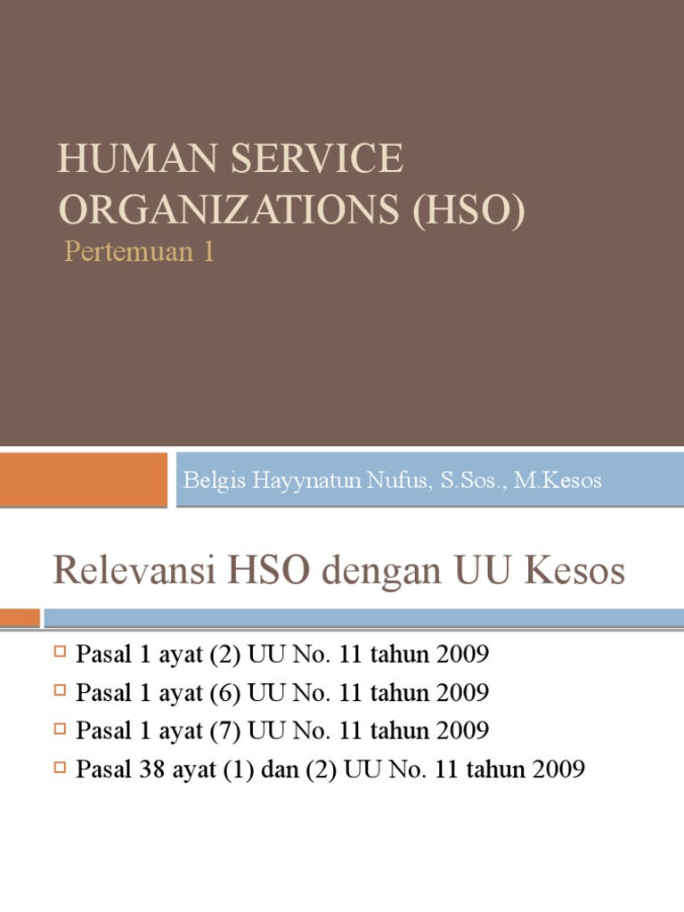 Definisi dan Fungsi HSO dalam UU Kesos | PDF