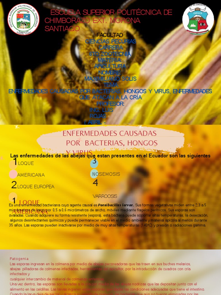 Enfermedades causadas por bacterias, hongos y virus en la cría de ...