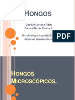 Hongos 140817140203 Phpapp01