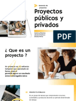 Proyectos Públicos y Privados