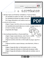 Fungos e Bacterias@Sosprofessoratividades