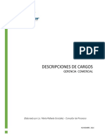 Descripciones de Cargos Gerencia Comercial DEFINITIVO 10-11
