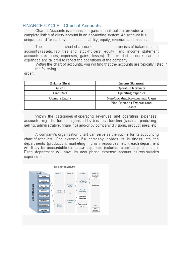 Understanding Chart of Accounts in Finance | PDF | Expense | Revenue