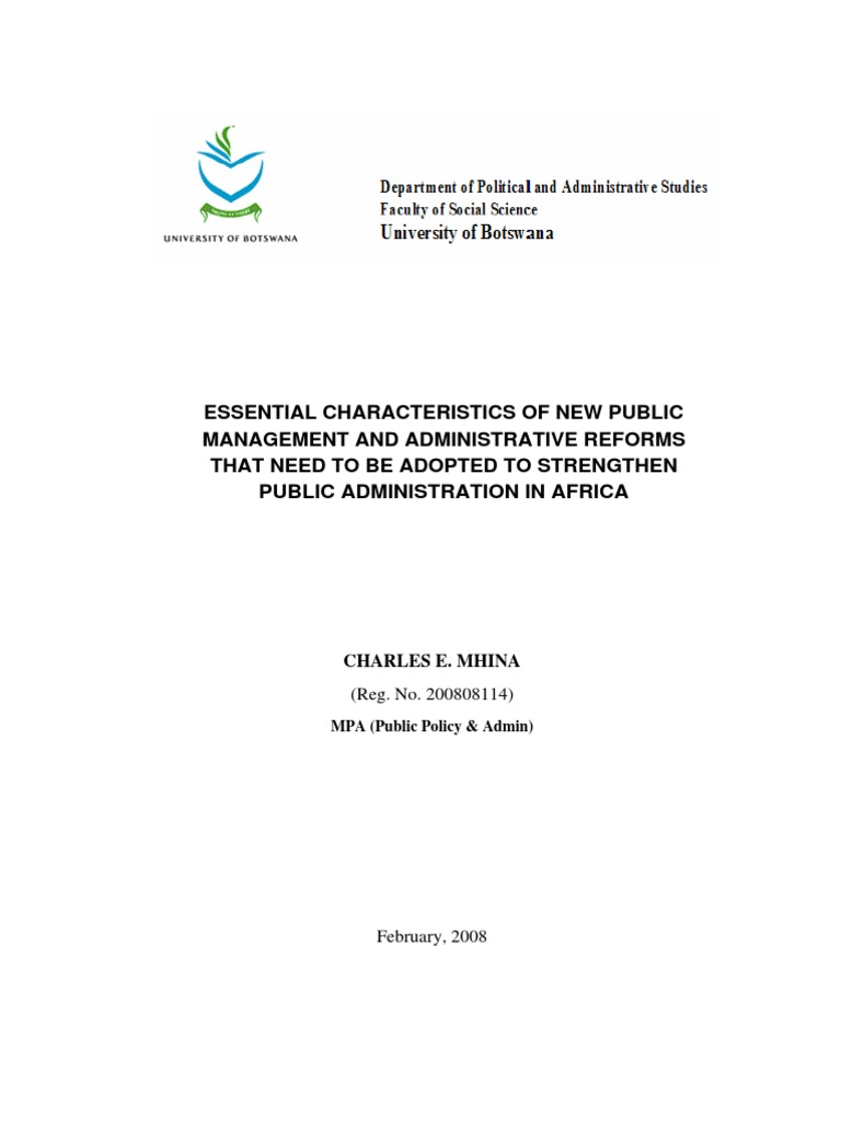 New Public Management Pdf
