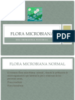 Flora Bacteriana Normal de La Boca