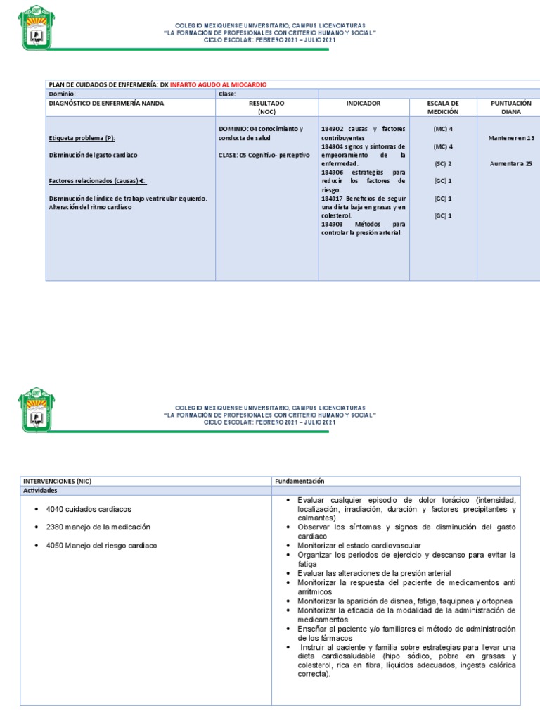 Plan de Cuidados para Infarto Agudo al Miocardio | PDF | Infarto de ...