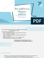 Pre-mRNA To Mature-Mrna: GROUP: Mitochonria