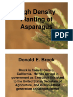 005 Donald Brock - High Density Planting of Asparagus