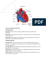 Anatomy and Physiology of The Heart and Kidney