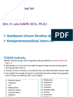 BioSel P1-F1 (1) .En - Id