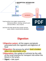 2 Digestion, Absorption, Transport and Metabolism - Updated