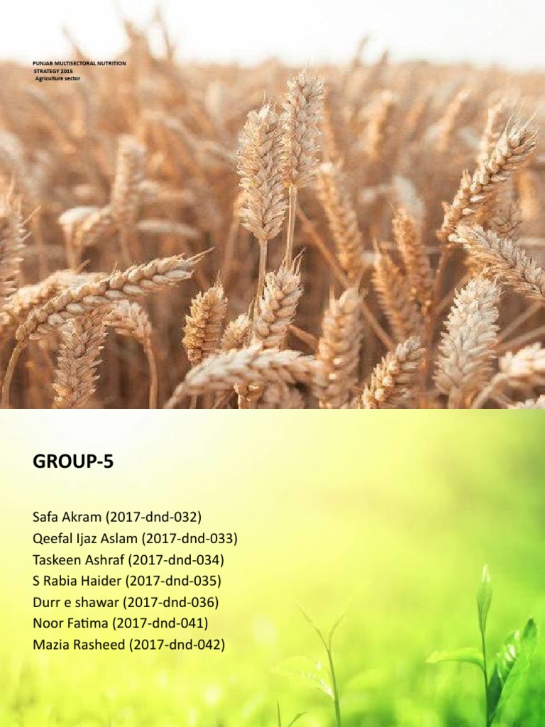Final Agriculture Sector | PDF | Agriculture | Malnutrition