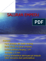 Saluran - Empedu 2