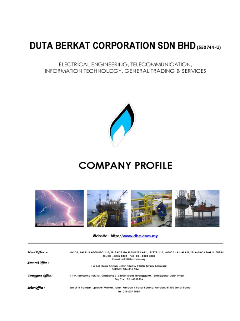 Company Profile Pdf Engineering Information Technology