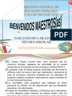 Cte Fase Intensiva 21-22