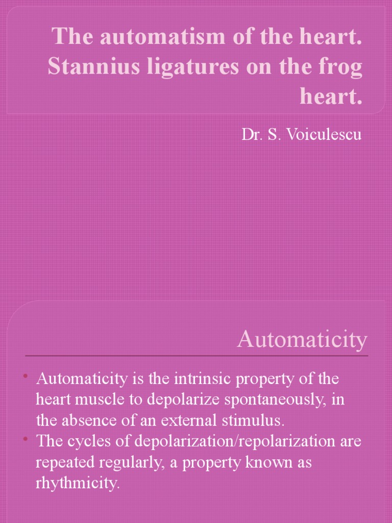 Understanding the Automaticity and Excitoconductive System of the Heart