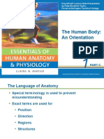 The Human Body: An Orientation: Part C