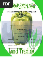 Download PROJECT CAPSICUM by Adrian Edmund Shuu SN52195281 doc pdf