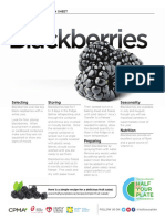 Selecting Storing Seasonality: Blackberries Information Sheet