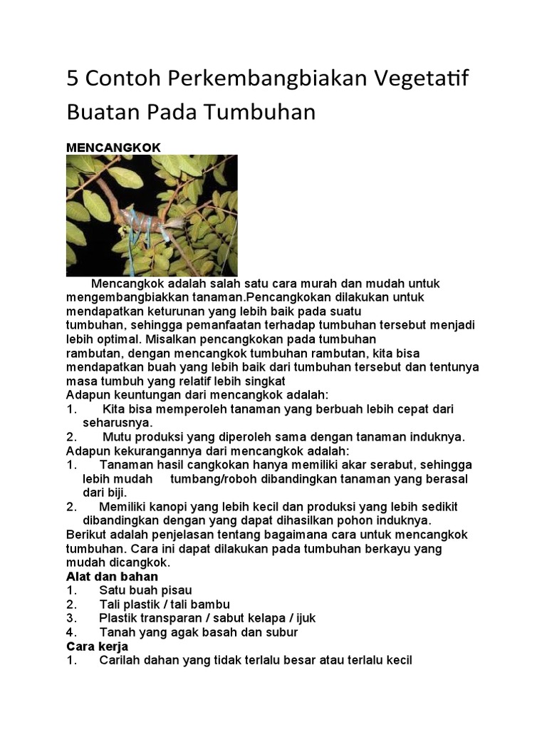 Perkembangbiakan dengan cara menanam potongan bagian tumbuhan seperti batang daun dan tangkai disebu