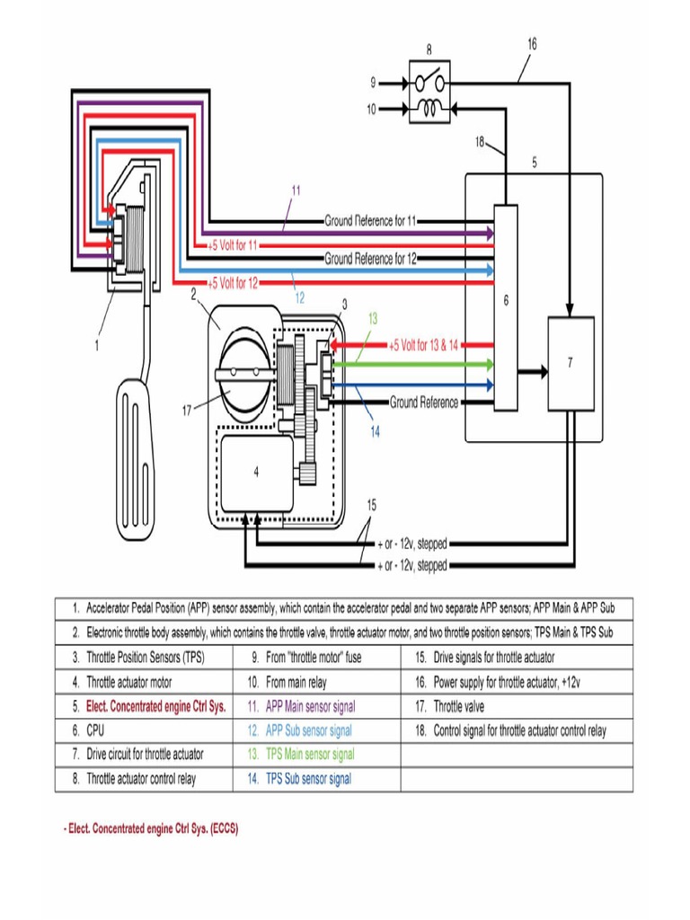 Electronic Drive by Wire Throttle | PDF