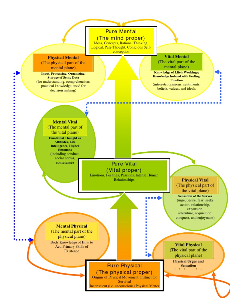 9 Levels of Thinking Explained | PDF | Mind | Thought