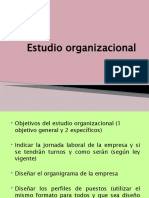 Estudio organizacional