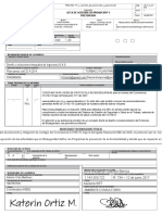 Formato - Acta de Asesoría en PYP-Diseño y Soluciones Integrales - Revision...
