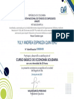 Curso Básico en Economía Solidaria__Certificado del curso