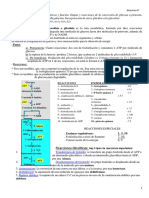 Glucolisis