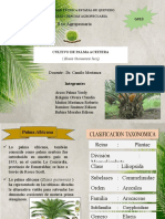 Cultivo Palma Aceitera Ecuador
