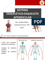 Aula5 Esqueleto Apendicular