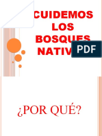 Cuidemos Los Bosques Nativos