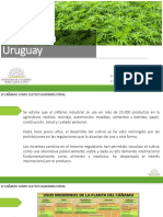 Canamo en Uruguay Expocannabis Mariela Ibarra Mgap