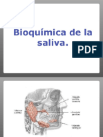 Bioquimica de La Saliva