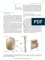 Articulaciones Del Esqueleto Humano: Denominación de Las Articulaciones Estructura Articular