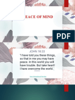 Discipline For Peace of Mind POWERPOINT PRESENTATION