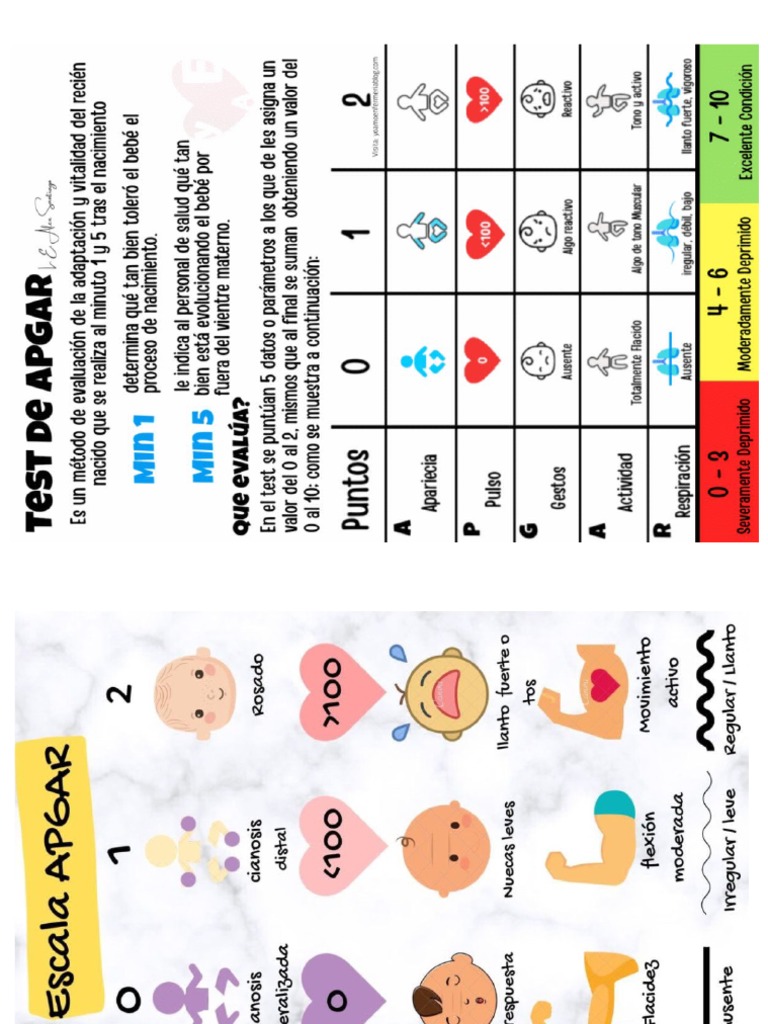 Escala de Silverman PDF