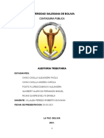 Informe Auditoria Tributaria Limpio