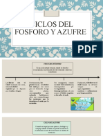 Ciclos Del Fosforo y Azufre