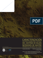 Caracterización Estratigráfica, Sedimentológica y Estructural Del Sistema de Bajos Neógenos de Gastre (Bilmes, Andrés, 2012)