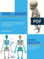 Vb Types of Bones eBook Es (1)