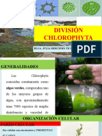 División Chlorophyta